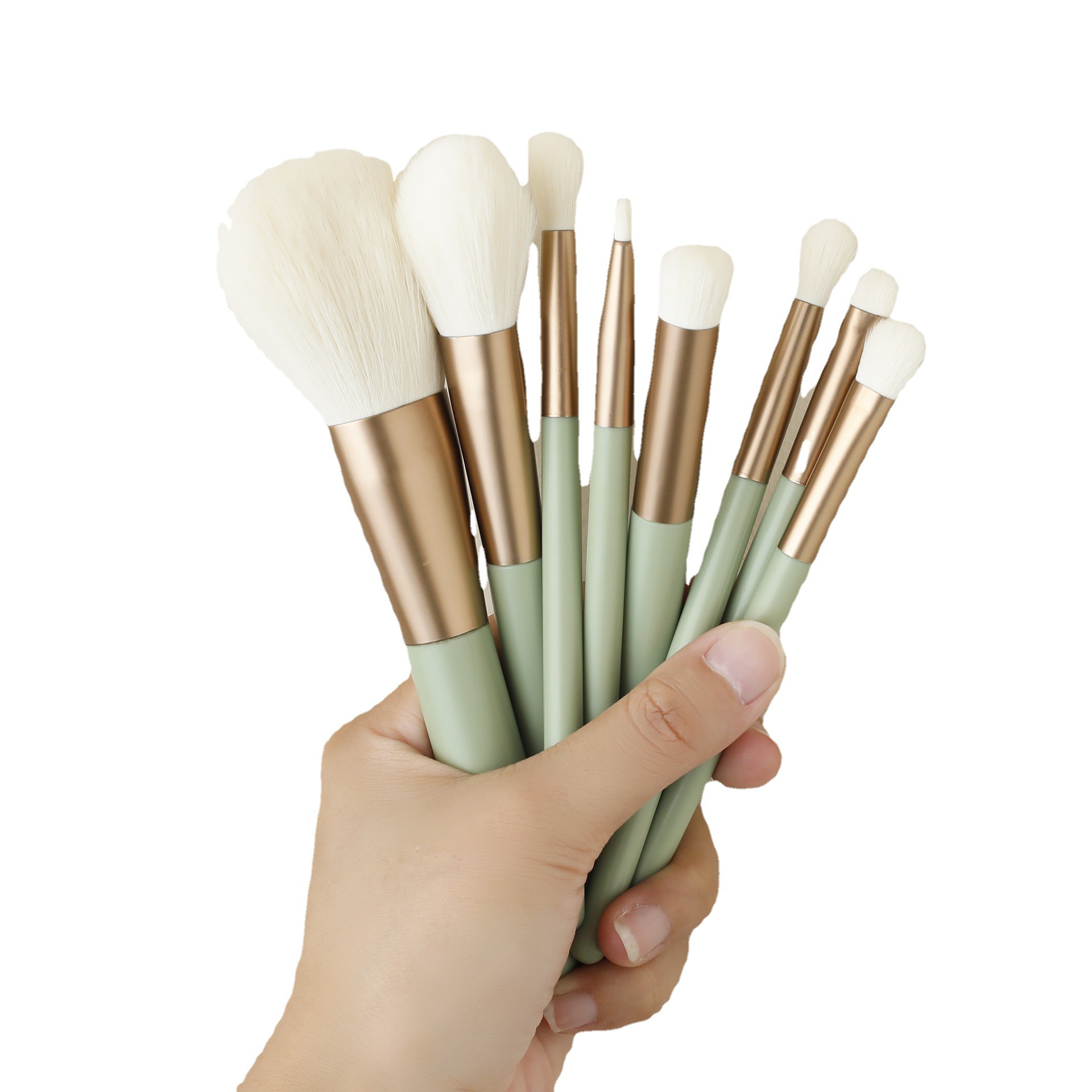 Combination set of eight makeup brushes