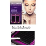 Grafted eyelash set naturally curls up