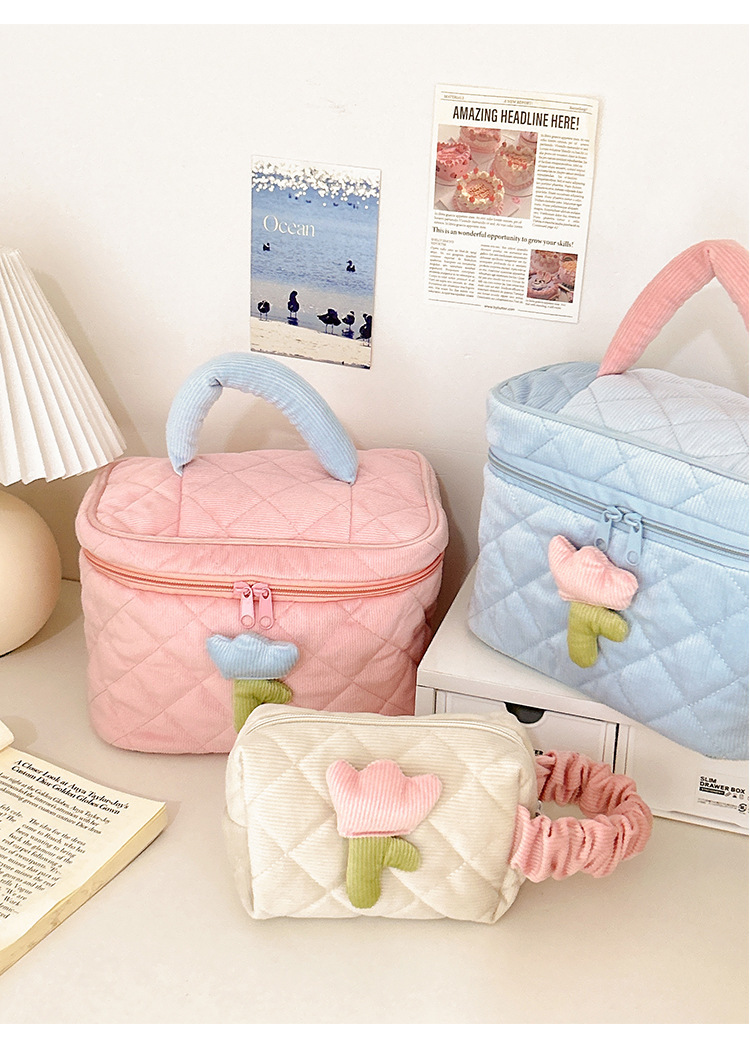 Large capacity and high-value portable storage bag