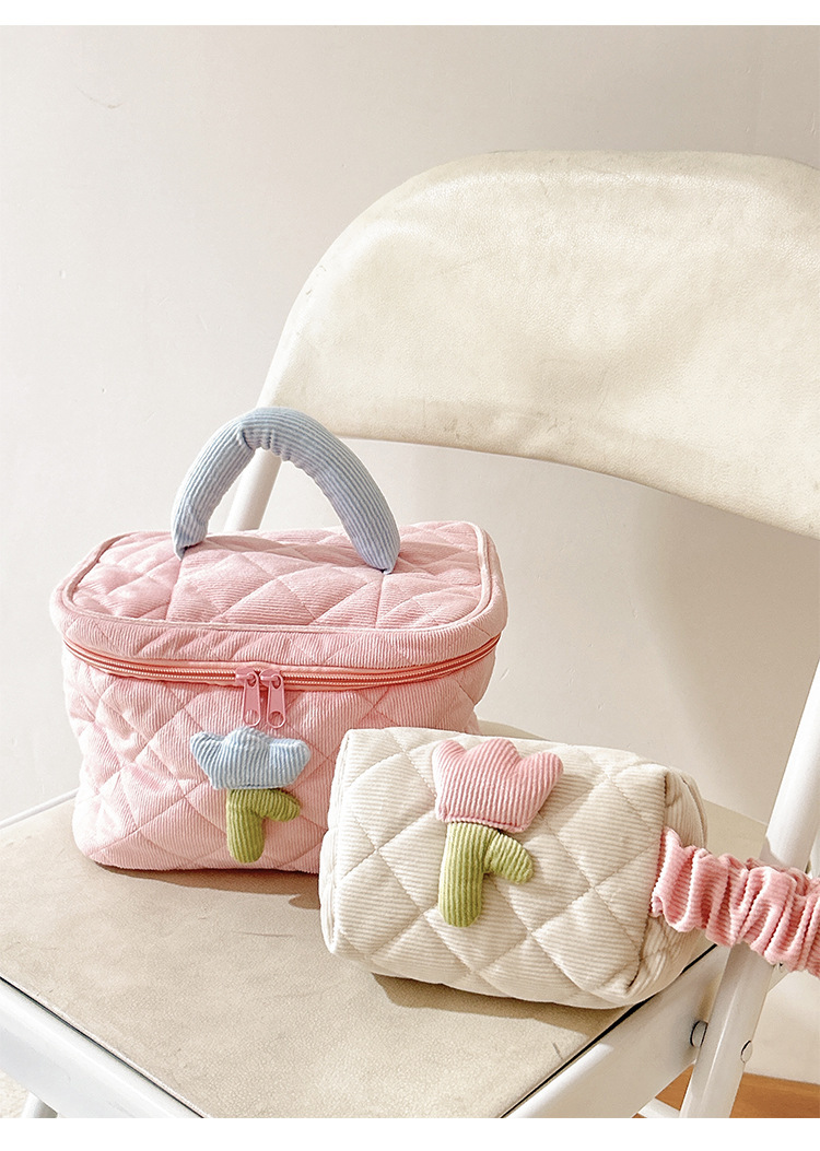 Large capacity and high-value portable storage bag