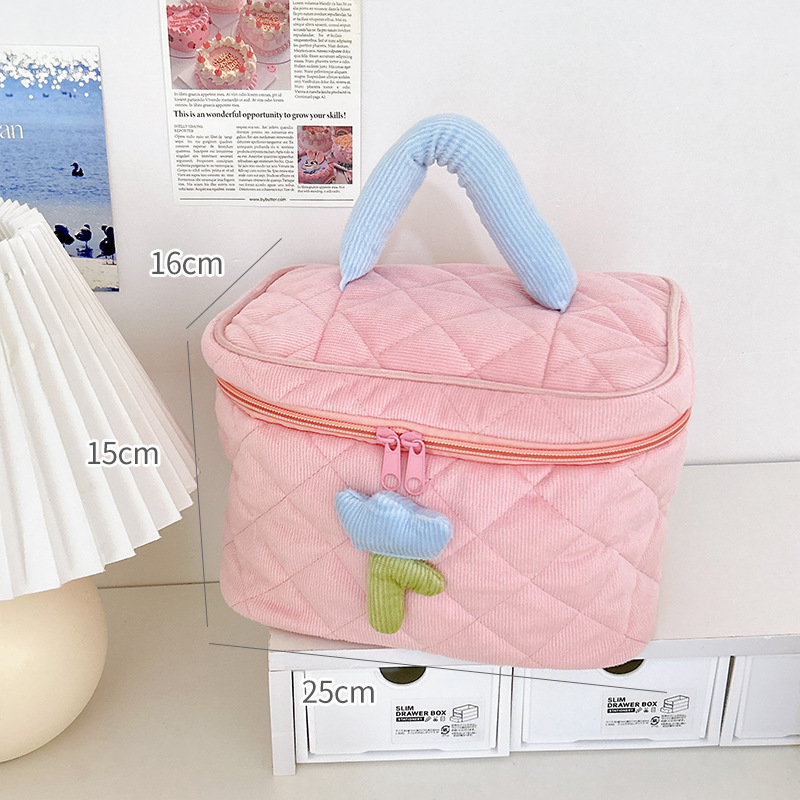 Large capacity and high-value portable storage bag