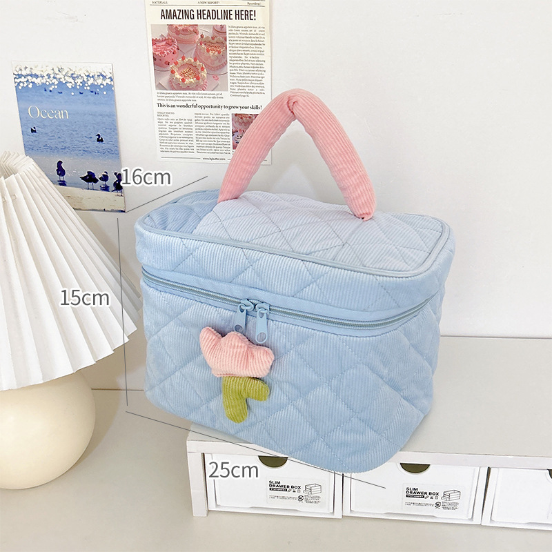 Large capacity and high-value portable storage bag