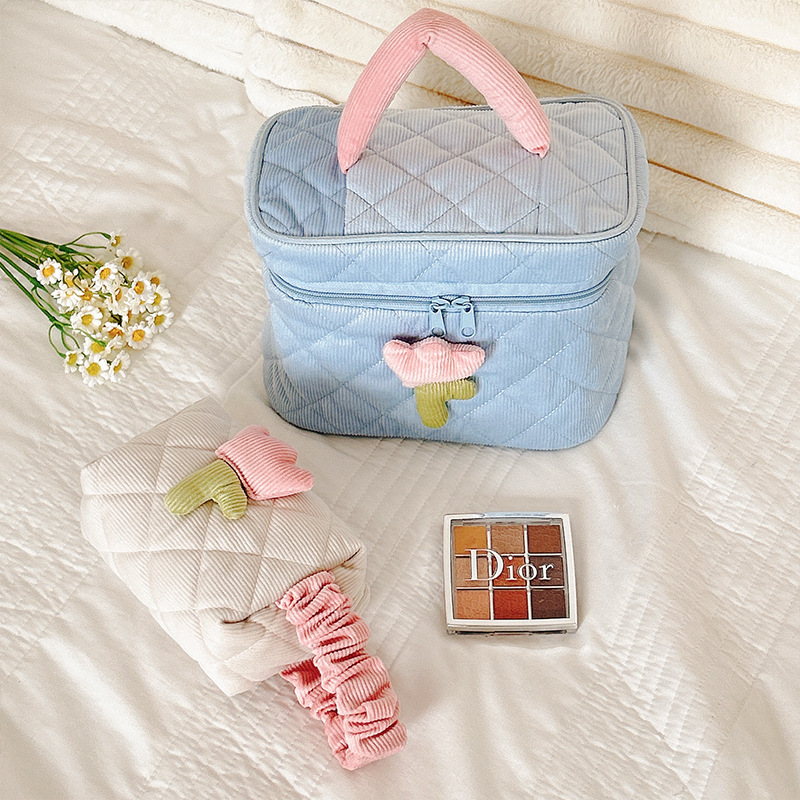 Large capacity and high-value portable storage bag