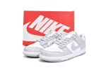 Reps StockX Shoes Nike Dunk Low Retro Grey Fog DD1391-103??