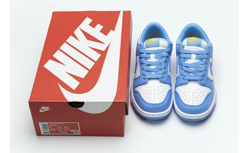 Reps StockX Shoes Nike SB Dunk Low Coast Blue DD1503-100??