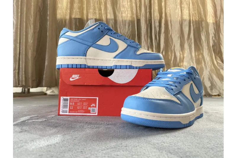 Reps StockX Shoes Nike SB Dunk Low Coast Blue DD1503-100??