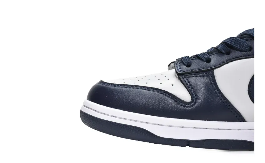 Reps StockX Shoes Nike Dunk Low Grorgetown Gray Blue CW1590-004??