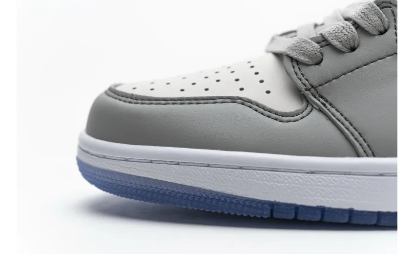 Air Jordan 1 Low Dior