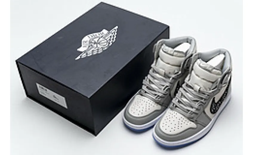 Jordan 1 High Dior