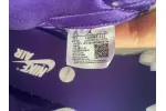 Reps StockX Shoes Air Jordan 1 Court Purple CD0461-151??