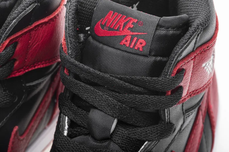 Air Jordan 1 Bred Banned
