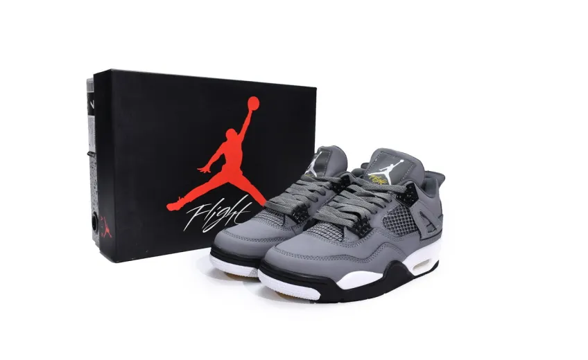 Cool Grey 4