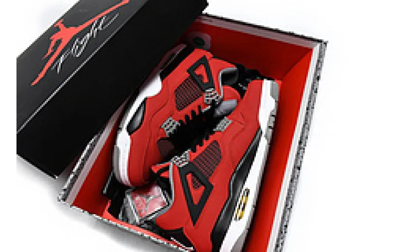 Jordan 4 Toro