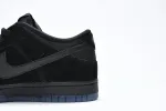 Reps StockX Shoes Nike Dunk Low Atrus Black DO9329-001??