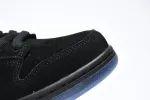 Reps StockX Shoes Nike Dunk Low Atrus Black DO9329-001??