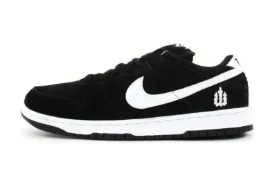  Nike Dunk Low Pro SB Weiger 304292-014 01