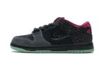 Reps StockX Shoes Nike Dunk Low Premium SB AE QS Northern Lights 724183-063??