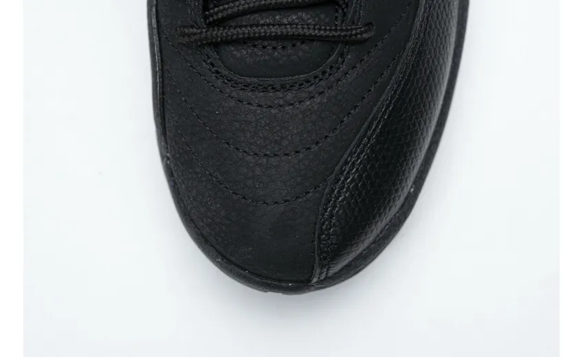 Reps StockX Shoes Air Jordan 12 Retro Dark Concord CT8013-005??