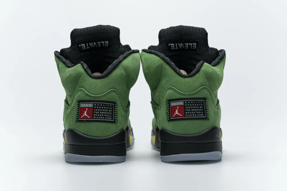  Air Jordan 5 SE “Oregon” CK6631-307