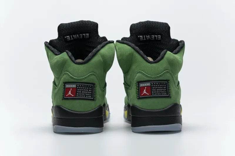  Air Jordan 5 SE “Oregon” CK6631-307