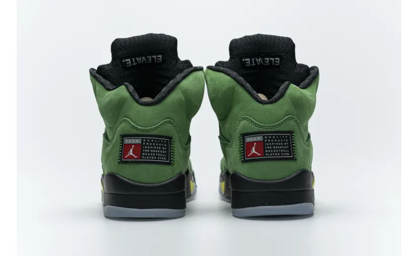 Air Jordan 5 SE “Oregon” CK6631-307