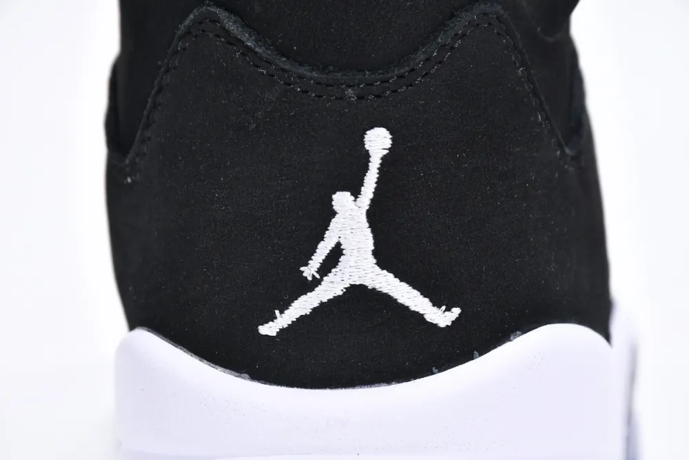  Air Jordan 5 Retro Moonlight CT4838-011 