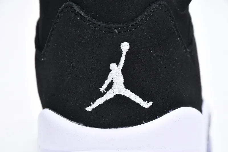  Air Jordan 5 Retro Moonlight CT4838-011 