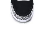  Air Jordan 3 Retro Pine Green CT8532-030