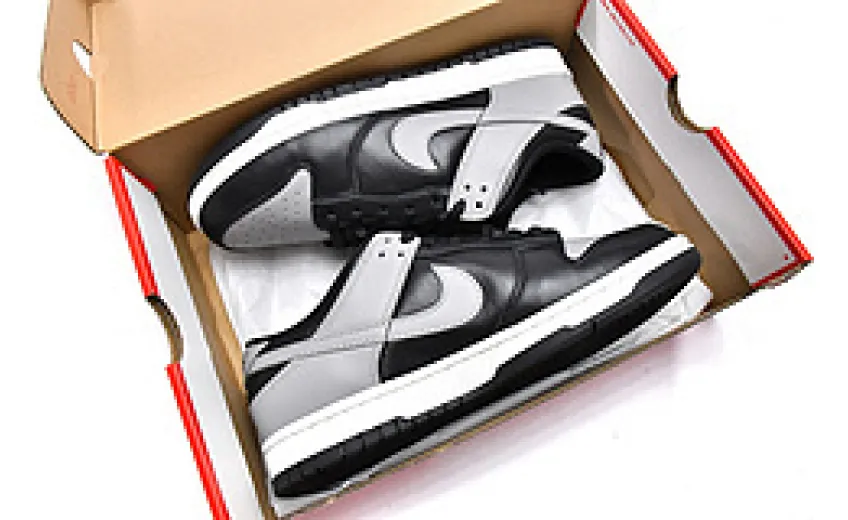 copy of   Nike Dunk Low Pro J-Pack Shadow  DO7412-994