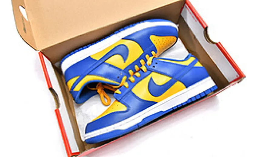   Nike Dunk Low UCLA DD1391-402