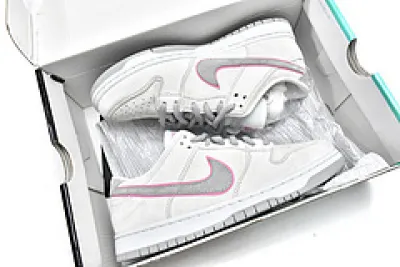  Nike SB Dunk Low Ishod Wair 895969-160 01
