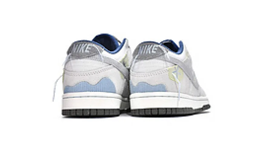  Nike Dunk Low Bright Side DQ5076-001