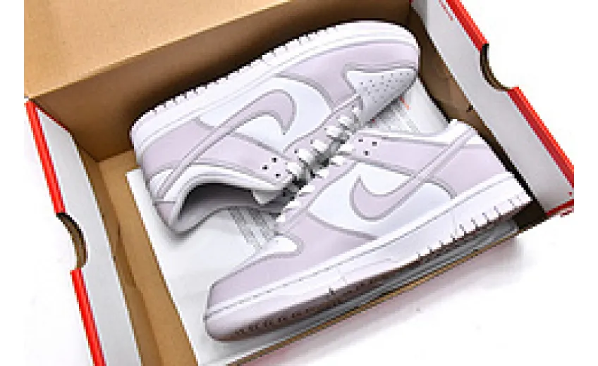  Nike Dunk Low Light Violet DD1503-116