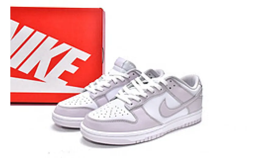  Nike Dunk Low Light Violet DD1503-116