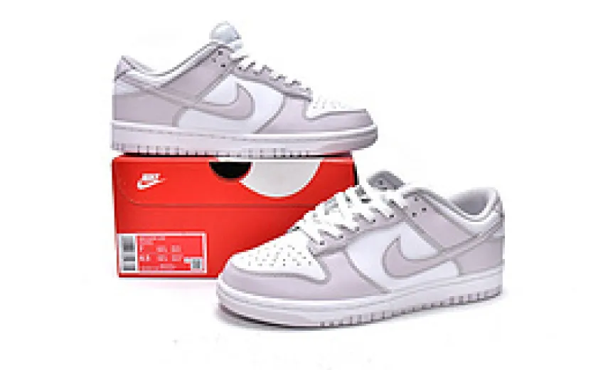  Nike Dunk Low Light Violet DD1503-116