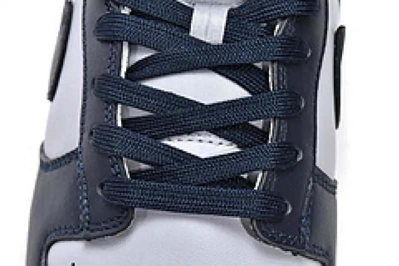  Nike Dunk Low Georgetown DD1391-003