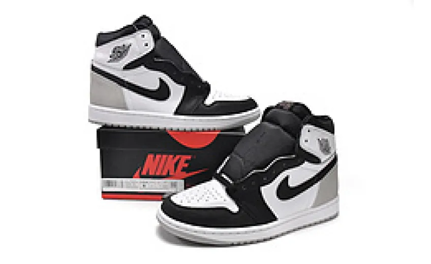 Jordan 1 Retro High OG Bleached Coral