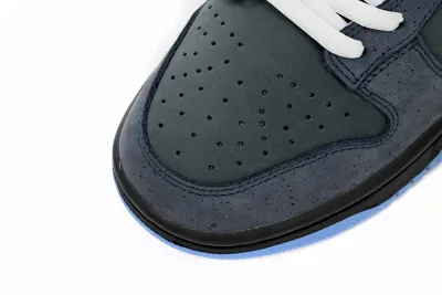Nike SB Dunk Low Concepts Blue Lobster 313170-342 02