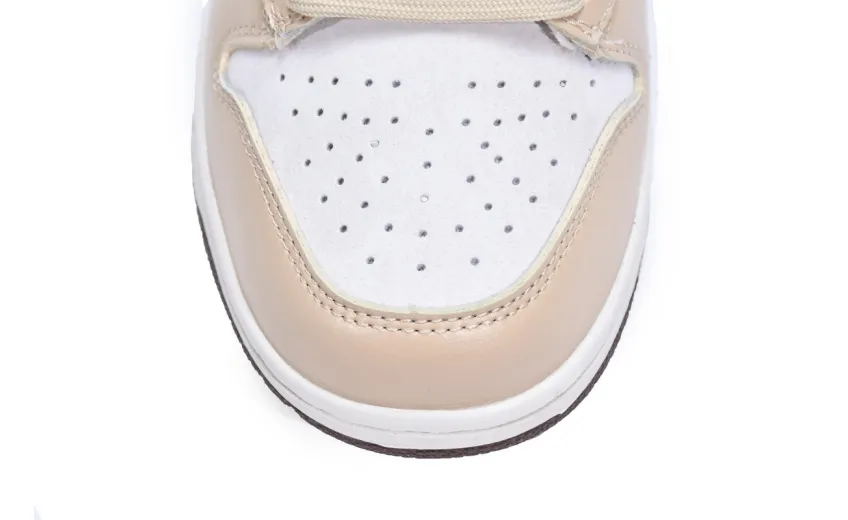 Nike Dunk High Light Chocolate DH5348-100