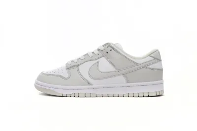 Nike Dunk Low Photon Dust (Women's) DD1503-103  01