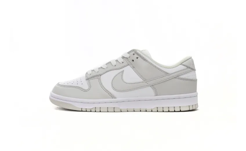 photon dust dunk low reps