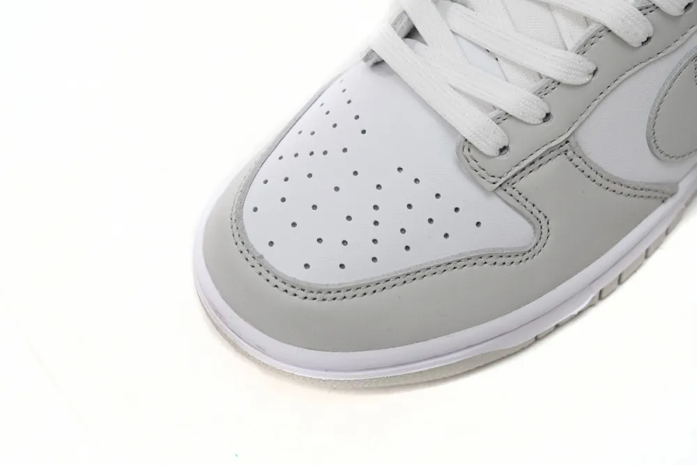 fake nike dunk photon dust