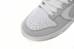 fake nike dunk photon dust