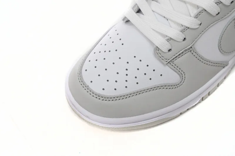 fake nike dunk photon dust