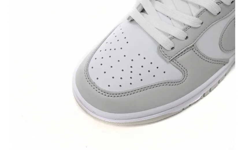 fake nike dunk photon dust