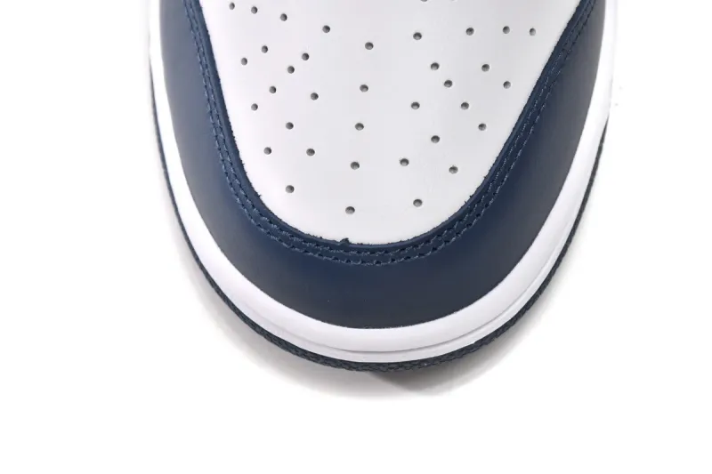 fake valerian blue dunk