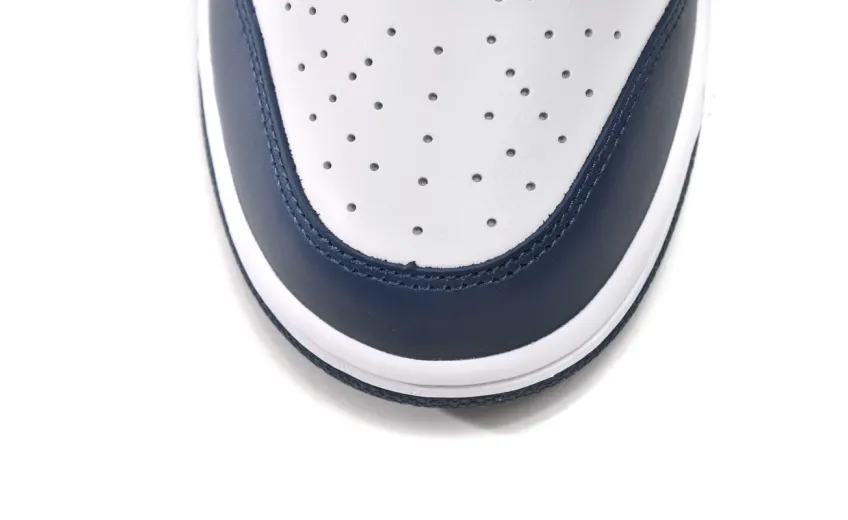 fake valerian blue dunk