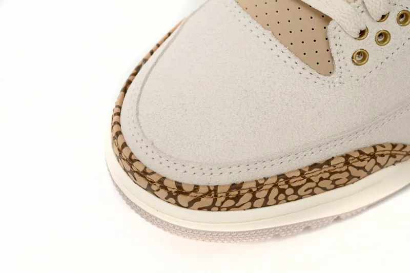 Palomino Jordan 3 replica