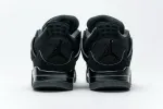 fake black cat 4s