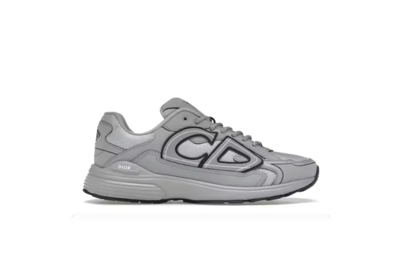 dior b30 gray reps
